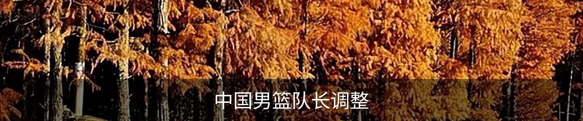 内页banner